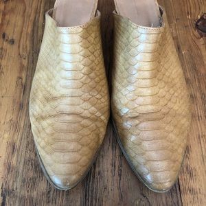 Coconut by Matisse Chloe Mules